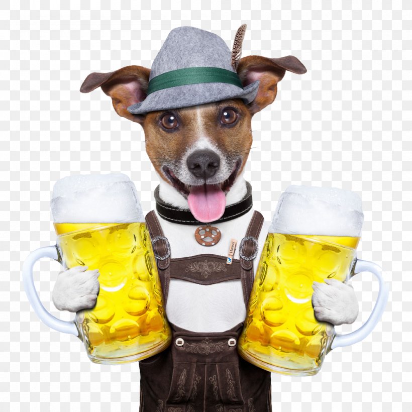 Beer Oktoberfest Dog German Cuisine Stock Photography, PNG, 1000x1000px, Beer, Alcoholic Beverage, Bavarian Language, Dog, Dog Breed Download Free