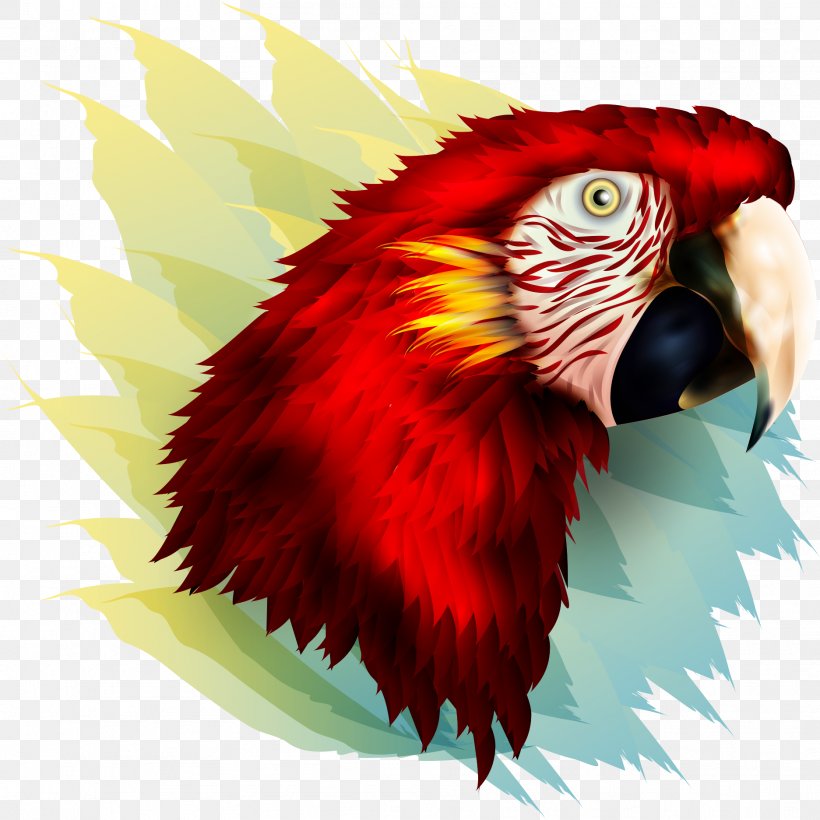 Bird Parrot Owl Beak Feather, PNG, 1873x1873px, Bird, Animal, Beak, Close Up, Eagle Download Free
