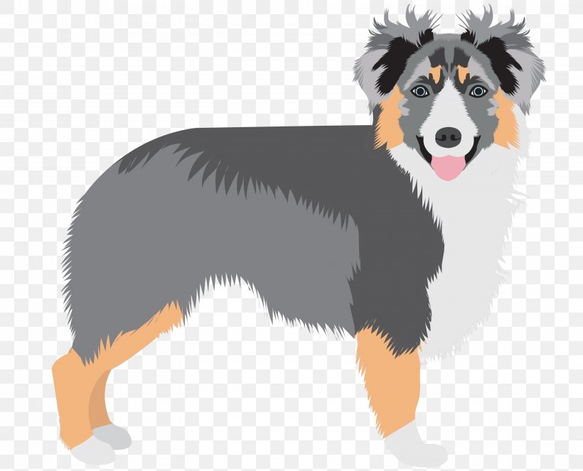 Dog Breed Australian Shepherd Puppy Miniature American Shepherd English Shepherd, PNG, 3150x2550px, Dog Breed, Australian Collie, Australian Shepherd, Belgian Shepherd, Berger Blanc Suisse Download Free