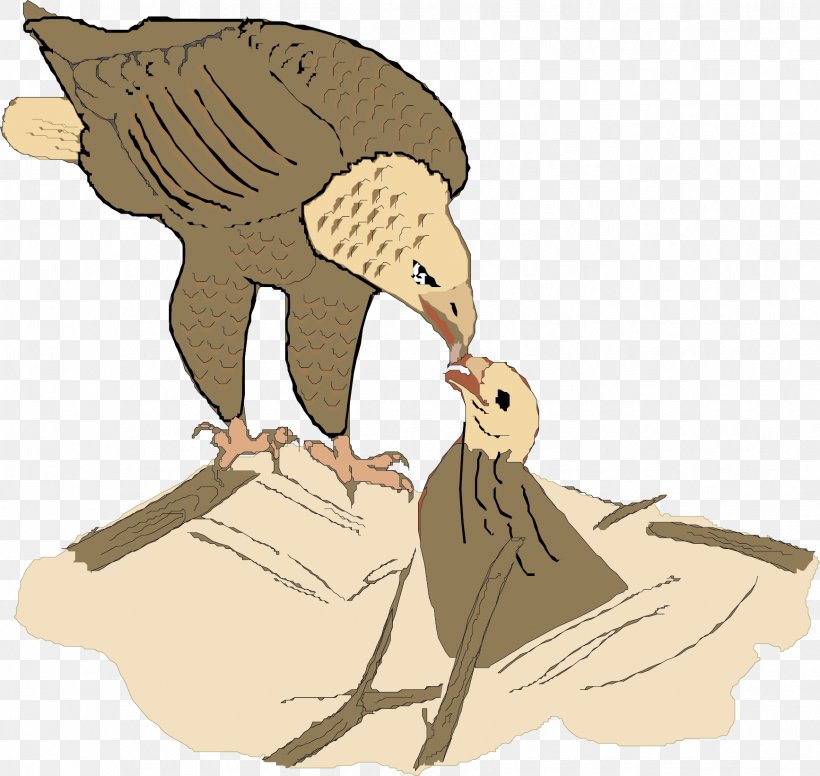 Eagle Hawk Bird Illustration, PNG, 1734x1641px, Eagle, Animation, Art, Beak, Bird Download Free