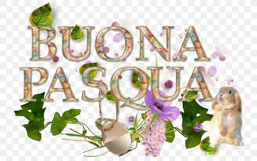 Floral Design Herbalism Font, PNG, 750x515px, Floral Design, Flower, Herbalism, Organism, Plant Download Free