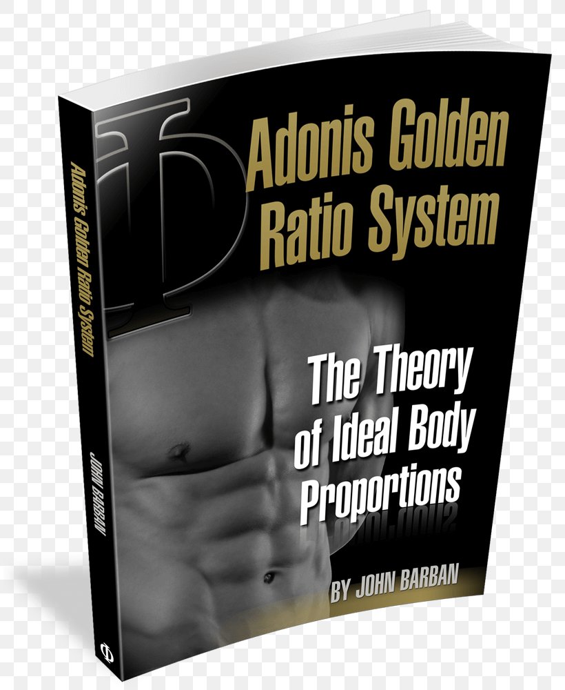Golden Ratio Muscle Beauty Exercise, PNG, 810x1000px, Golden Ratio, Abdominal Obesity, Adipose Tissue, Advertising, Beauty Download Free