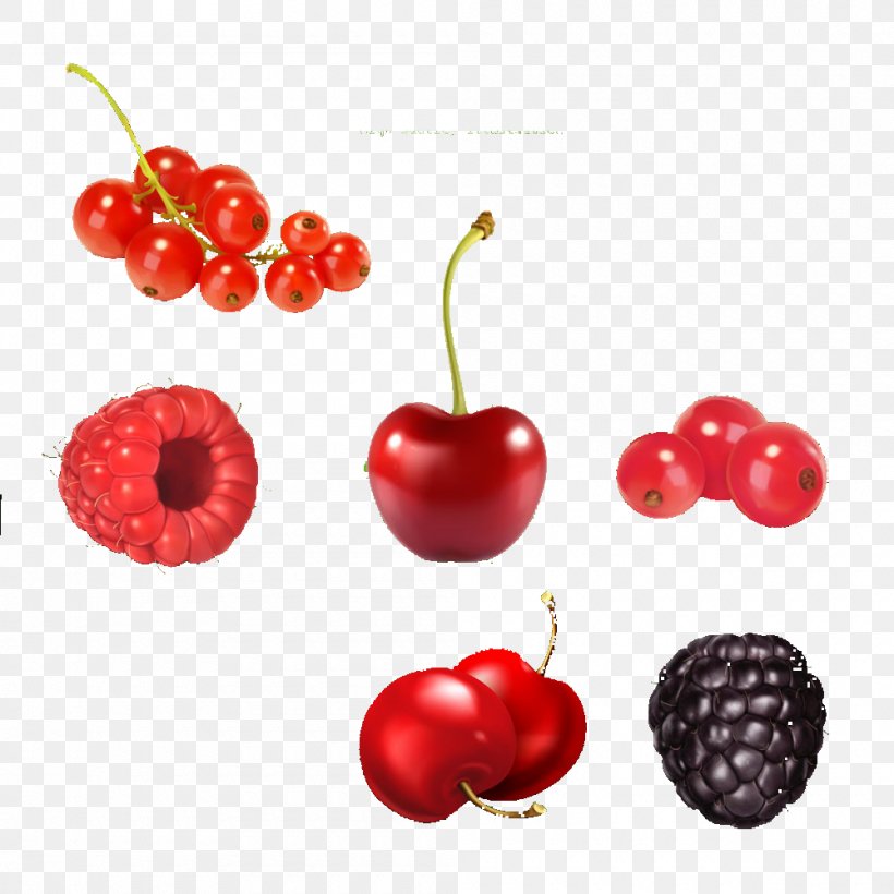 Juice Fruit Berry Illustration, PNG, 1000x1000px, Juice, Accessory Fruit, Acerola, Acerola Family, Berry Download Free