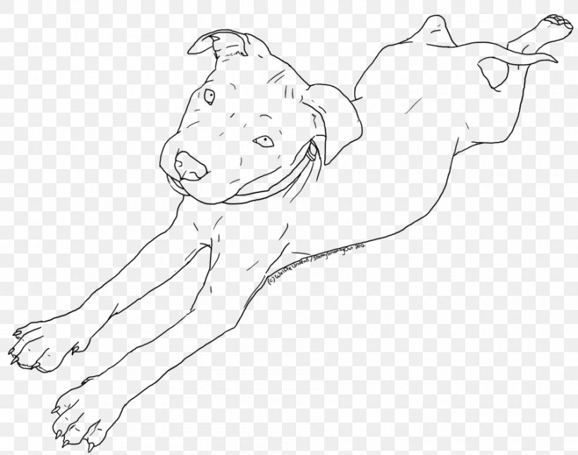 American Pit Bull Terrier Puppy Drawing Line Art, PNG, 900x710px, Watercolor, Cartoon, Flower, Frame, Heart Download Free