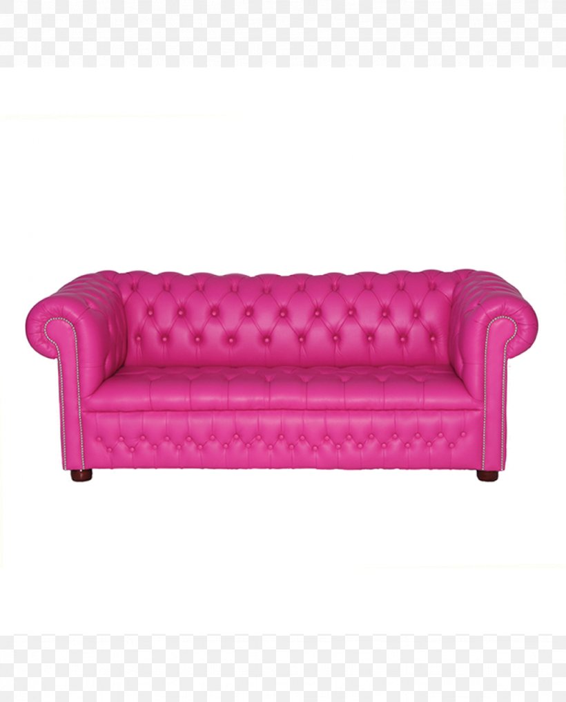 Couch Sofa Bed Living Room Chair Furniture, PNG, 1024x1269px, Couch, Bed, Chair, Chaise Longue, Clicclac Download Free