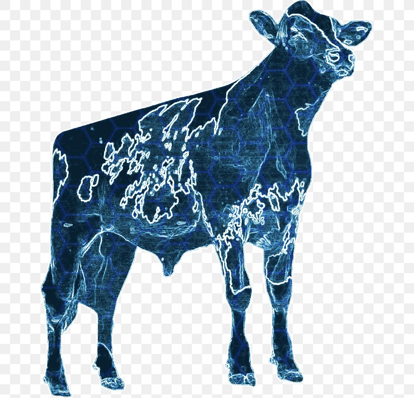 Dairy Cattle Calf La Garita, Jalisco, PNG, 657x787px, Dairy Cattle, Bull, Calf, Cattle, Cattle Like Mammal Download Free