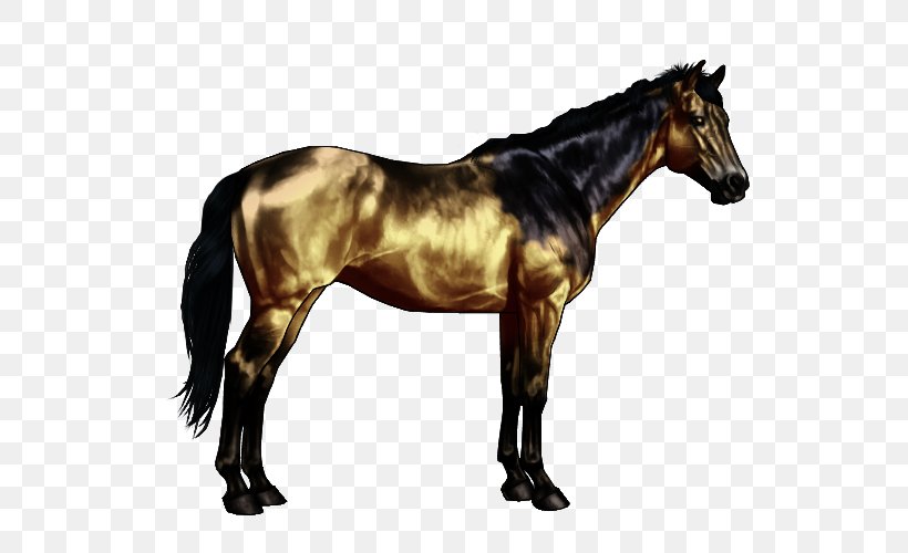 Horse Markings Bay Black Dun Locus, PNG, 600x500px, Horse, Bay, Bit, Black, Bridle Download Free