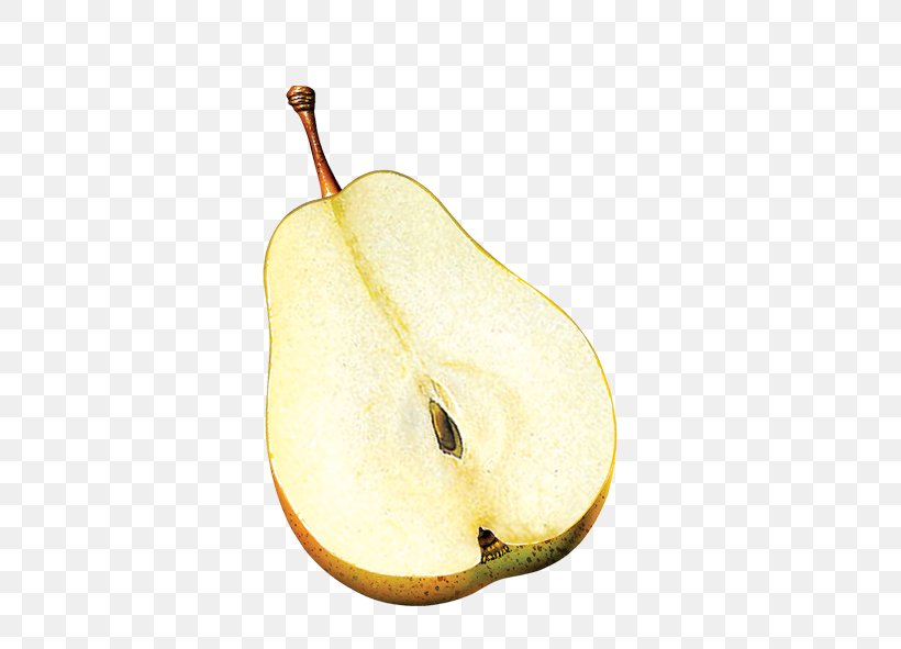 Pyrus Xd7 Bretschneideri Pear Fruit, PNG, 591x591px, Pyrus Xd7 Bretschneideri, Apple, Auglis, Food, Fruit Download Free