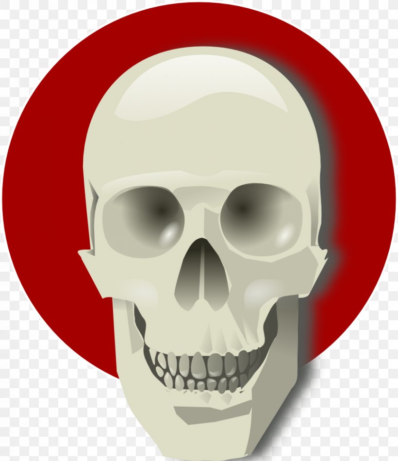 Skull Bone Clip Art, PNG, 863x1000px, Skull, Bone, Jaw, Skeleton Download Free