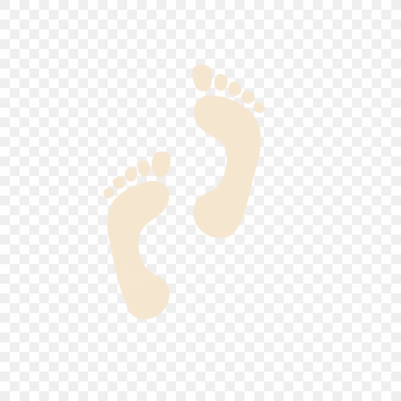 Animal Track Cartoon, PNG, 1575x1575px, Animal Track, Animation, Brown, Cartoon, Footprint Download Free