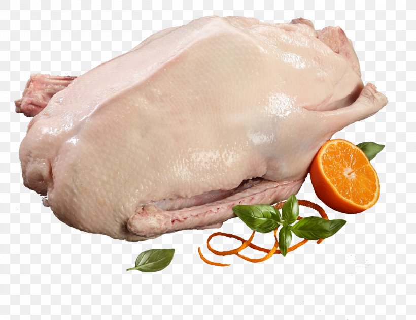 Anser Goose Domestic Duck Chicken, PNG, 1405x1080px, Anser, Animal Fat, Animal Source Foods, Back Bacon, Chicken Download Free