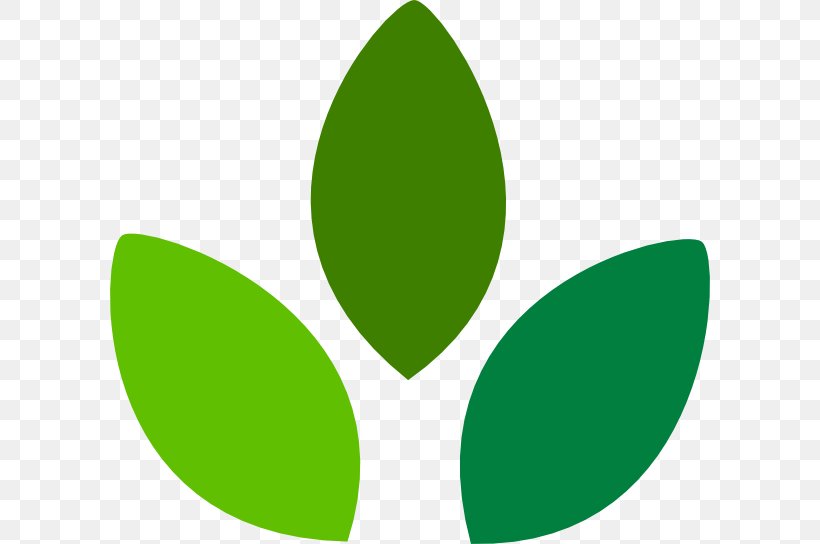 Logo Leaf Font, PNG, 600x544px, Logo, Grass, Green, Leaf, Plant Download Free
