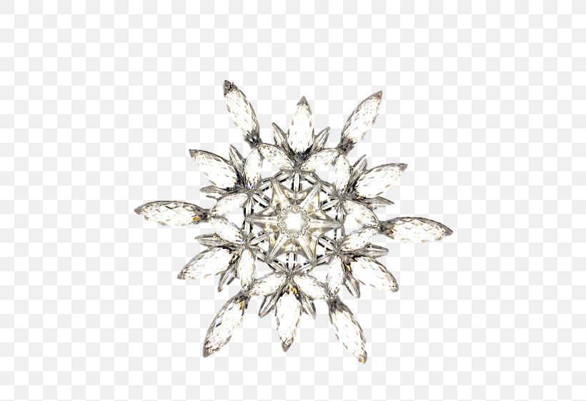 Snowflake Silver Brooch Acrylic Paint, PNG, 750x562px, Snowflake, Acrylic Paint, Body Jewellery, Body Jewelry, Brooch Download Free