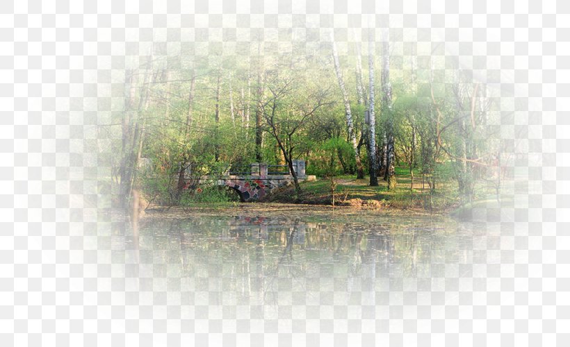 Bayou Swamp Water Resources Land Lot Tree, PNG, 800x500px, Bayou, Atmospheric Phenomenon, Bank, Calm, Fog Download Free