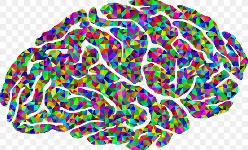 Human Brain Neuroscience Clip Art, PNG, 1280x773px, Brain, Color, Human Brain, Neural Oscillation, Neuroglia Download Free