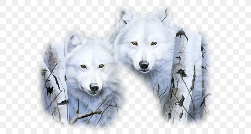 New Year's Day Gray Wolf New Year's Eve Wicca, PNG, 600x439px, New Year, Animation, Arctic, Arctic Fox, Canadian Eskimo Dog Download Free