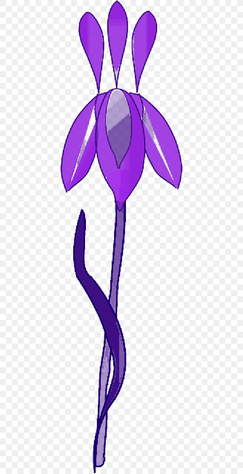 Northern Blue Flag Clip Art Vector Graphics Iris Flower Data Set, PNG, 800x1600px, Northern Blue Flag, Botany, Cattleya, Crocus, Curtiss Botanical Magazine Download Free