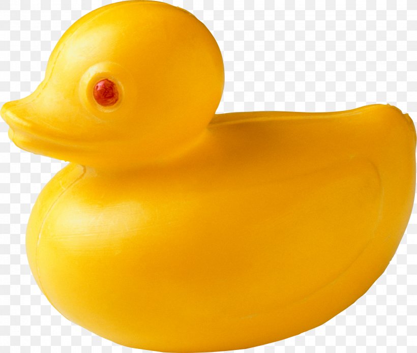 Rubber Duck Toy System, PNG, 2057x1743px, Duck, Beak, Bird, Ducks Geese And Swans, Information Technology Download Free