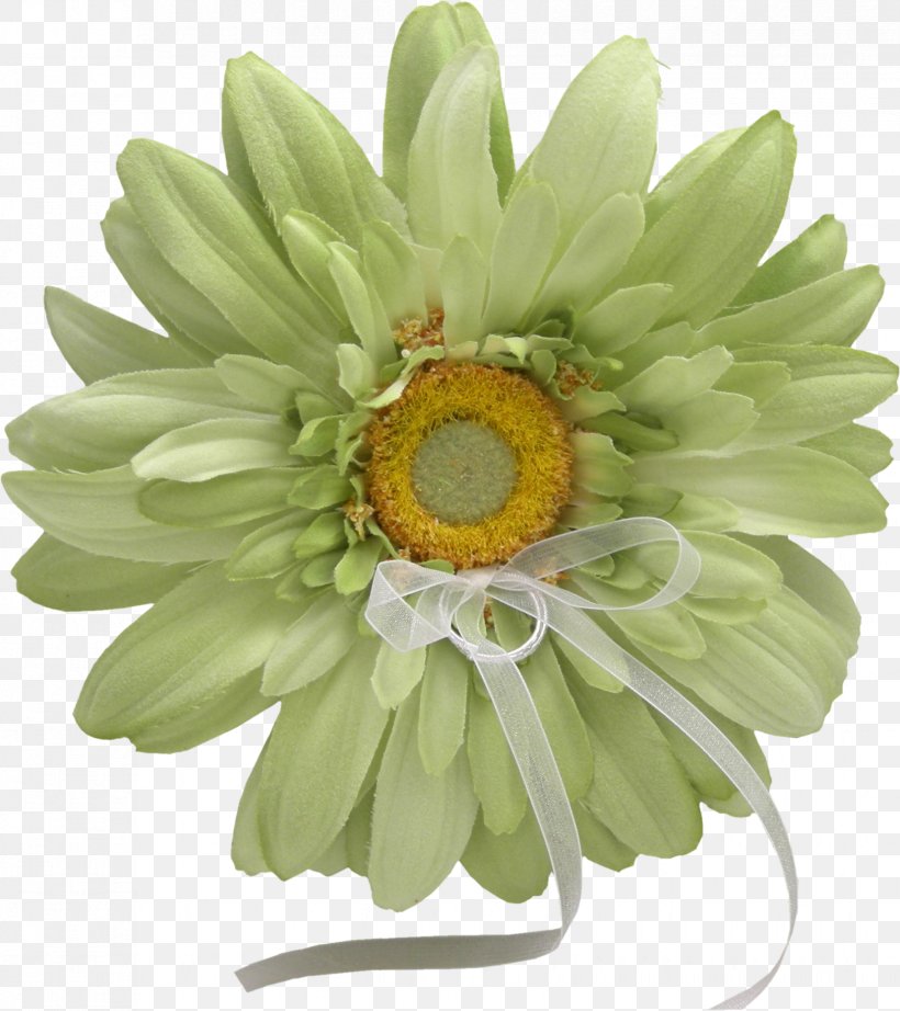 Common Daisy Flower Image Painting, PNG, 1655x1862px, Common Daisy, Centerblog, Chrysanthemum, Chrysanths, Cut Flowers Download Free