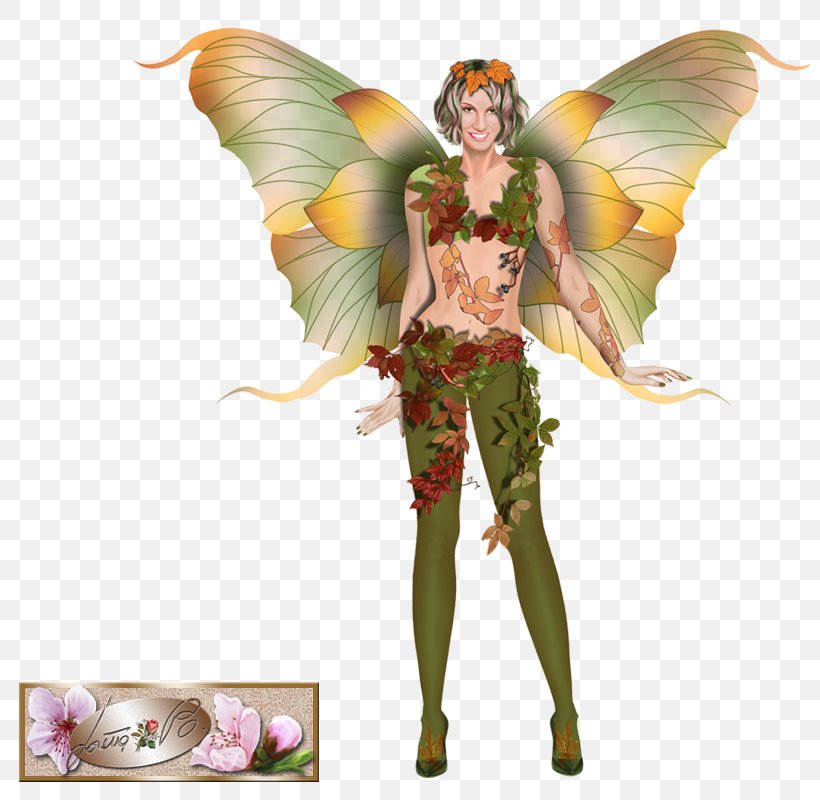 Fairy Costume Design Figurine Organism, PNG, 800x800px, Fairy, Costume, Costume Design, Fictional Character, Figurine Download Free