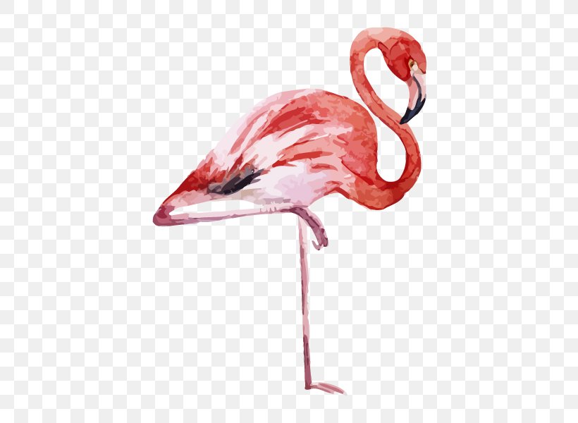 Flamingo Printing Canvas Print Printmaking, PNG, 600x600px, Flamingo, Art, Beak, Bird, Canvas Download Free