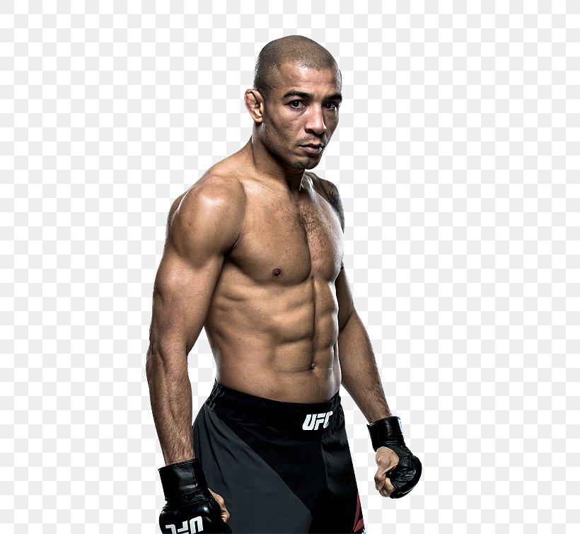 José Aldo UFC 212: Aldo Vs. Holloway UFC 194: Aldo Vs. McGregor UFC 169: Barao Vs. Faber 2 UFC 218: Holloway Vs. Aldo 2, PNG, 504x755px, Watercolor, Cartoon, Flower, Frame, Heart Download Free