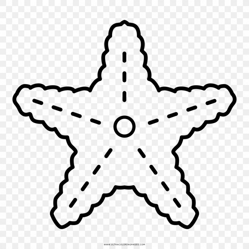 Starfish Drawing Coloring Book Sea, PNG, 1000x1000px, Starfish, Area, Ausmalbild, Black And White, Color Download Free