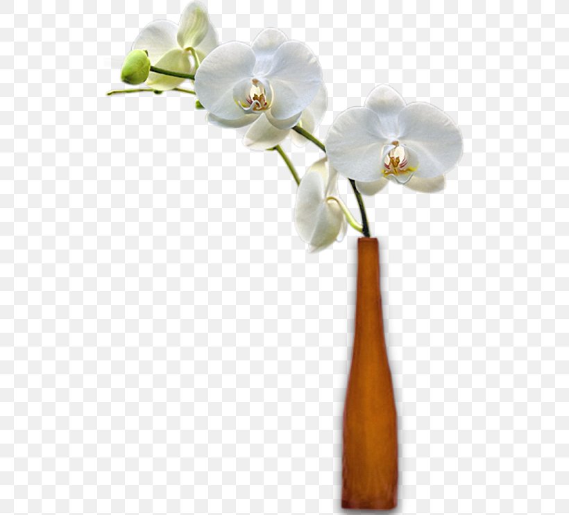 Vase Cut Flowers Moth Orchids, PNG, 520x743px, Vase, Art, Branch, Cut Flowers, Flora Download Free