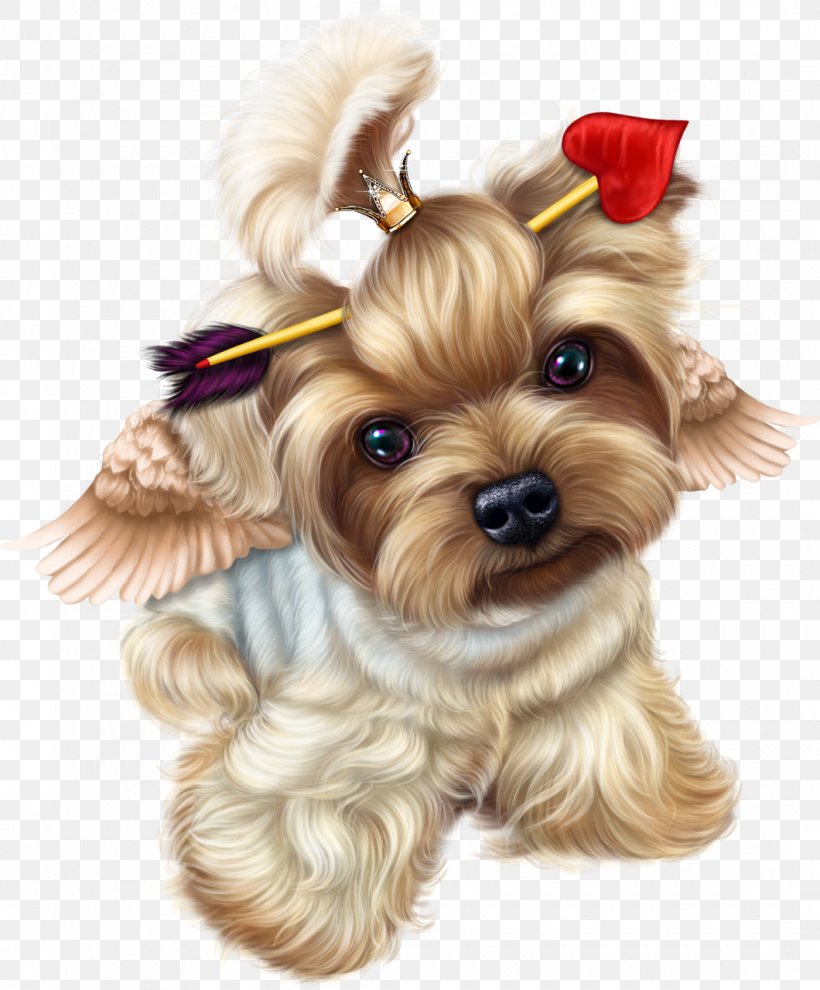 Yorkshire Terrier Puppy Valentine's Day Vinegar Valentines, PNG, 1060x1280px, Yorkshire Terrier, Animal, Ansichtkaart, Carnivoran, Companion Dog Download Free