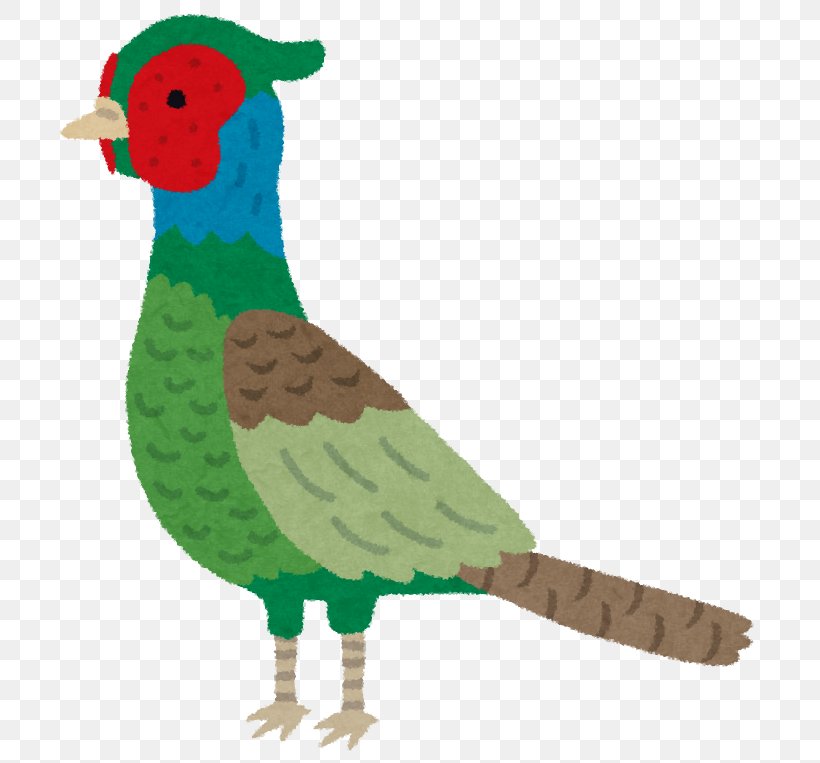 Green Pheasant Sanda Momotarō Okayama Prefecture Phasianidae, PNG, 763x763px, Green Pheasant, Aviary, Beak, Bird, Chicken Download Free