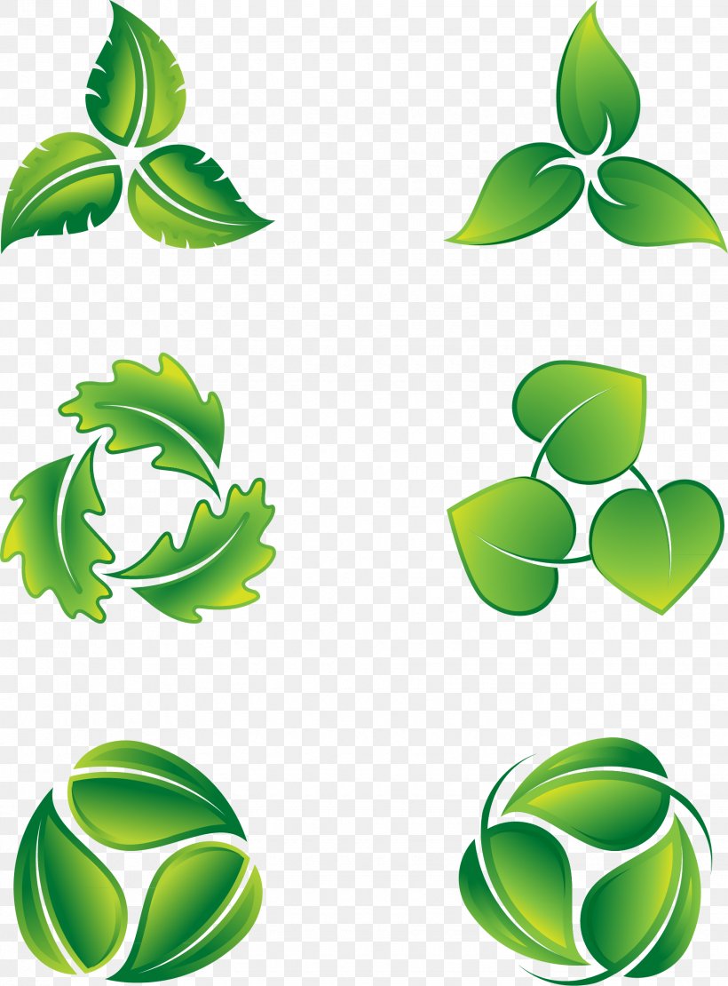 Leaf Logo Icon, PNG, 1850x2505px, Leaf, Autumn Leaf Color, Branch, Grass, Green Download Free