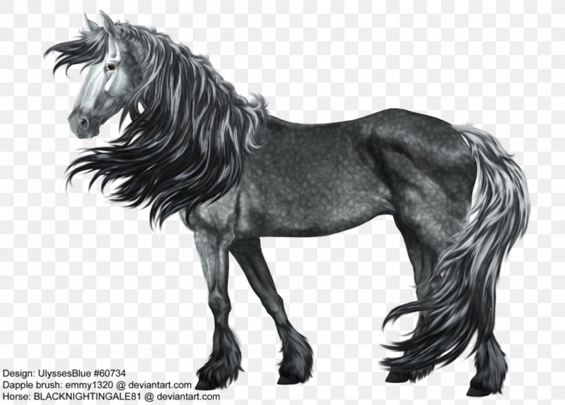 Mustang Stallion Thoroughbred Gray Andalusian Horse, PNG, 1054x757px, Mustang, Andalusian Horse, Black And White, Drawing, Gray Download Free