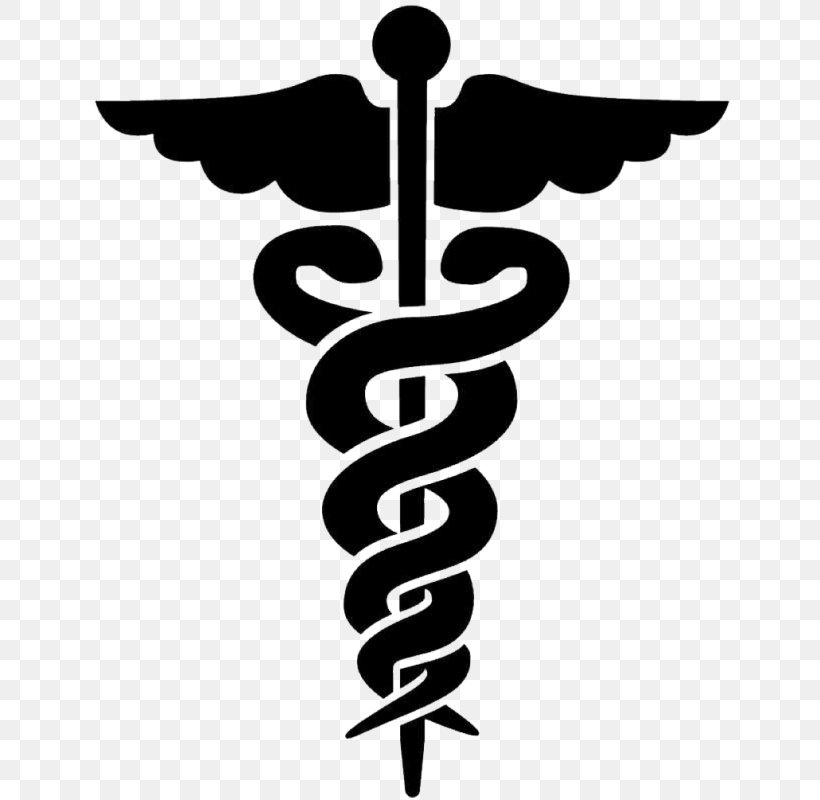 Staff Of Hermes Caduceus As A Symbol Of Medicine Physician, PNG, 658x800px, Hermes, Asclepius, Black And White, Brand, Caduceus As A Symbol Of Medicine Download Free