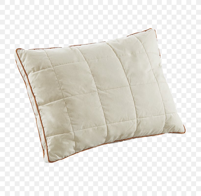 Throw Pillows Cushion Infant Rectangle, PNG, 800x800px, Pillow, Brand, Cushion, Election, Infant Download Free