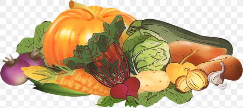 Clip Art Vegetable Fruit Produce, PNG, 899x401px, Vegetable, Autumn, Calabaza, Cucumber, Culinary Art Download Free