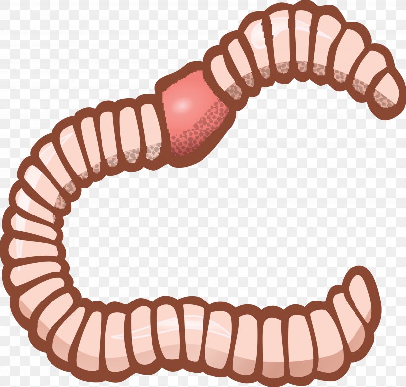 Earthworm Clip Art, PNG, 4000x3824px, Worm, Black And White, Color, Drawing, Earthworm Download Free