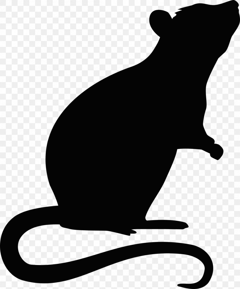 Rat Mouse Rodent, PNG, 1200x1444px, Rat, Artwork, Bear, Black, Black And White Download Free