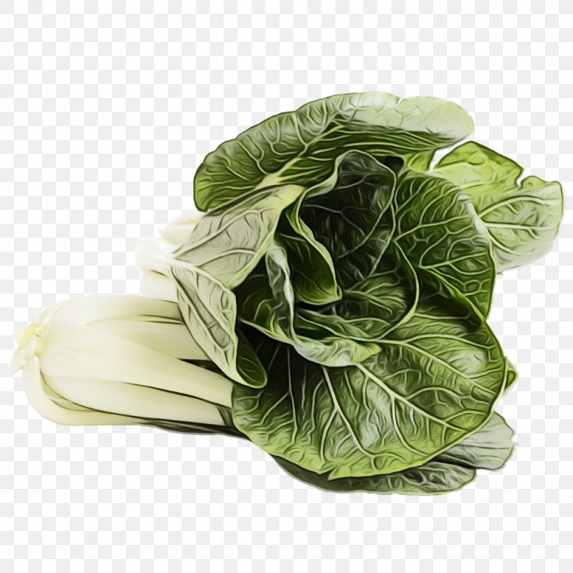 Vegetable Leaf Vegetable Cabbage Collard Greens Leaf, PNG, 1024x1024px, Watercolor, Cabbage, Collard Greens, Food, Leaf Download Free