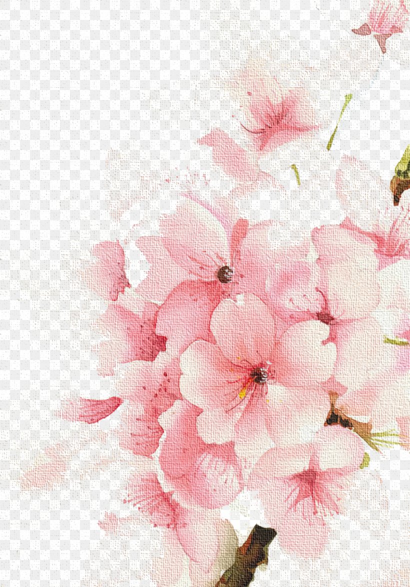 Watercolour Flowers Watercolor: Flowers Watercolor Painting Drawing, PNG, 1024x1467px, Watercolour Flowers, Blossom, Branch, Cherry Blossom, Drawing Download Free