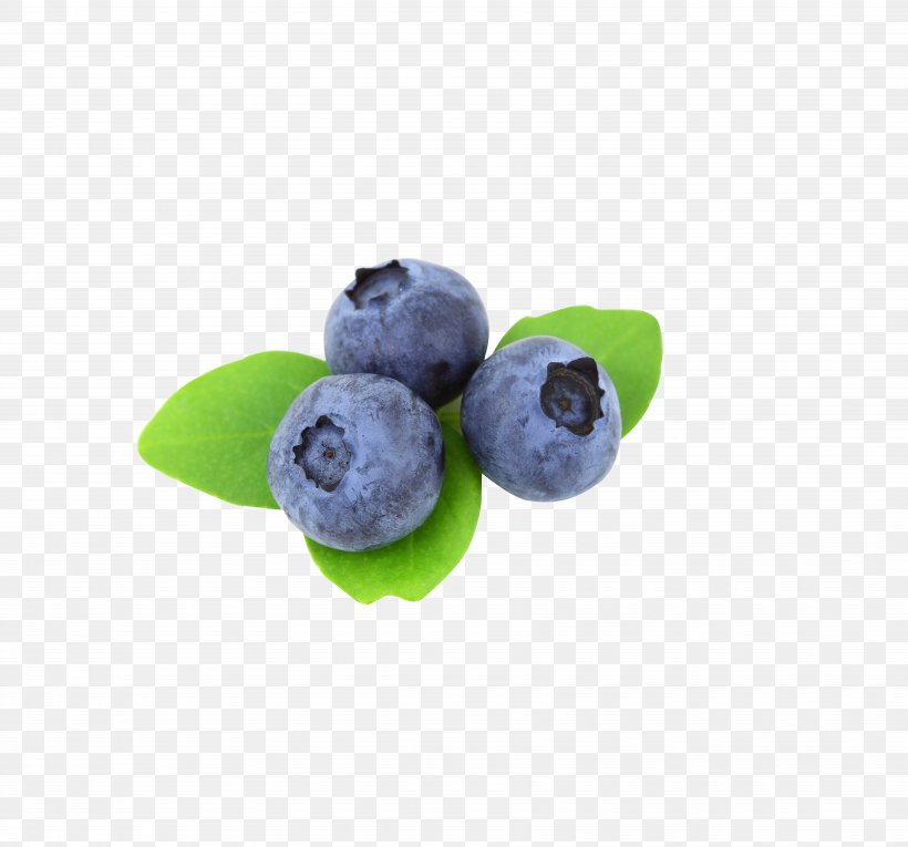 Blueberry Blackberry Fruit, PNG, 7087x6614px, Berry, Antioxidant, Bilberry, Blackberry, Blueberry Download Free