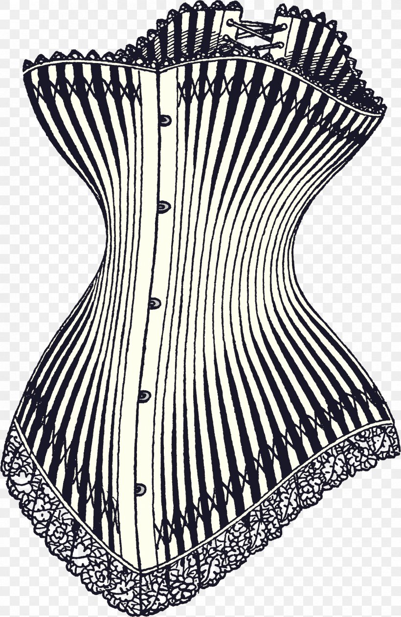 Corset Controversy Hourglass Corset History Of Corsets Bone, PNG, 1684x2594px, Watercolor, Cartoon, Flower, Frame, Heart Download Free