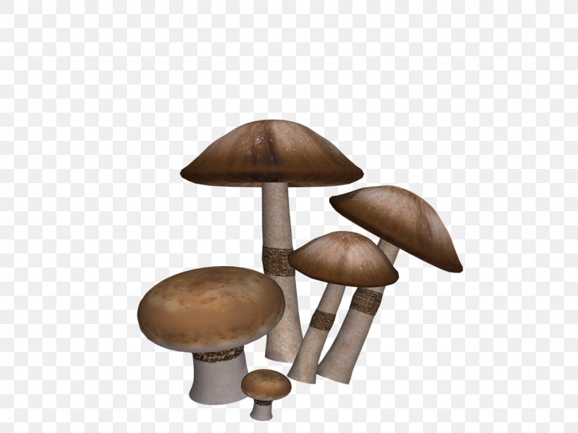 Edible Mushroom Food Fungus, PNG, 1280x960px, Mushroom, Amanita, Art, Common Mushroom, Digital Art Download Free