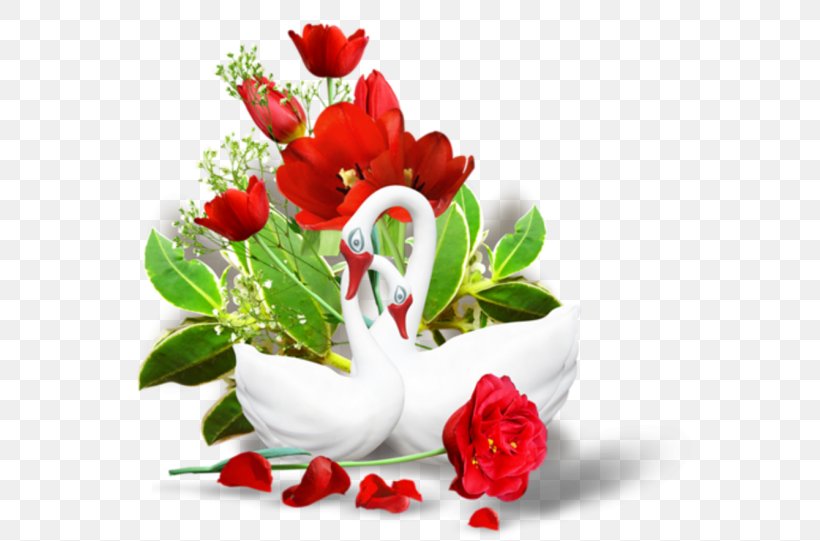 Garden Roses Startpage Ixquick Evening Google Images, PNG, 600x541px, Garden Roses, Afternoon, Cut Flowers, Evening, Floral Design Download Free