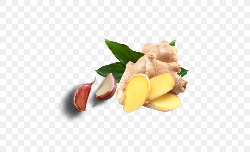 Ginger Organic Food Seed Vegetable Plant, PNG, 500x500px, Ginger, Bonsai, Drumstick Tree, Eating, Food Download Free