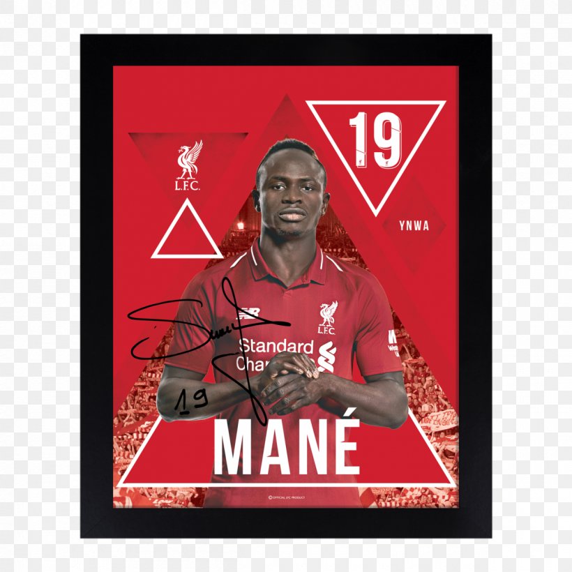 Liverpool F.C. Football Player T-shirt Souvenir Clothing, PNG, 1200x1200px, Liverpool Fc, Clothing, Collectable, Fashion, Football Player Download Free