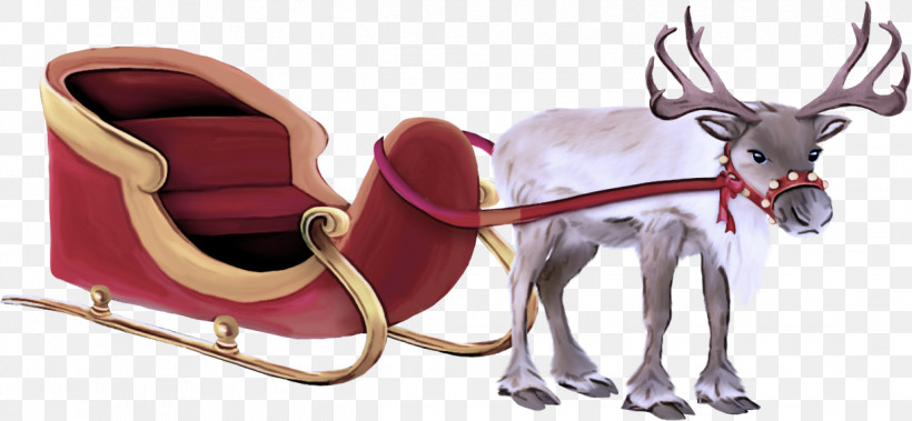 Reindeer, PNG, 1223x566px, Reindeer, Fawn, Horse Harness, Leash Download Free