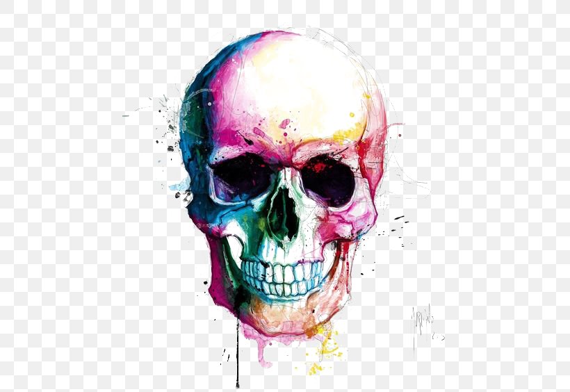Skull Calavera Drawing Color Painting, PNG, 564x564px, Calavera, Art, Artist, Bone, Drawing Download Free