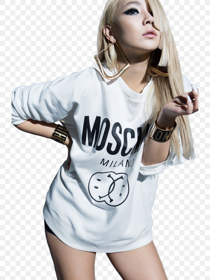 CL 2NE1 Moschino Hello Bitches K-pop, PNG, 730x1095px, Watercolor, Cartoon, Flower, Frame, Heart Download Free