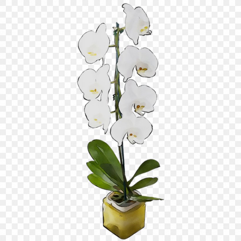Moth Orchids Cut Flowers Floral Design Artificial Flower, PNG, 990x990px, Moth Orchids, Artificial Flower, Branching, Cut Flowers, Dendrobium Download Free