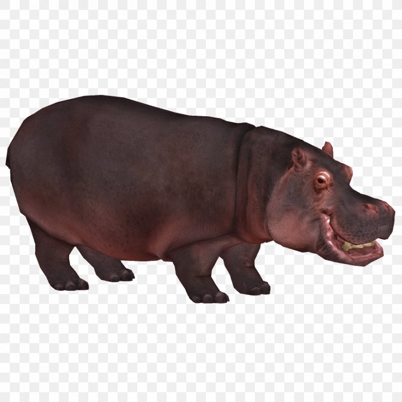 Zoo Tycoon 2 Pygmy Hippopotamus Rhinoceros Hippopotamuses, PNG, 889x889px, Zoo Tycoon 2, Animal, Animal Figure, Fauna, Hippopotamus Download Free